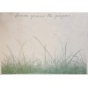 Σουπλά Χάρτινο Grass Paper "Γρασίδι" 30Χ40εκ. Κιβ. 1000τεμ., 31-G-3036, PAPERQ