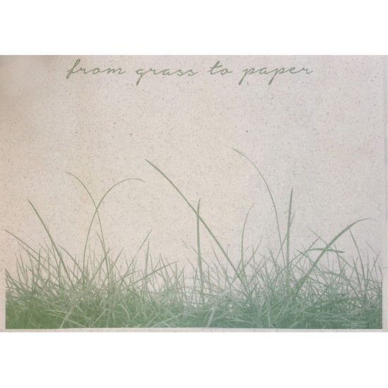 Σουπλά Χάρτινο Grass Paper "Γρασίδι" 30Χ40εκ. Κιβ. 1000τεμ., 31-G-3036, PAPERQ